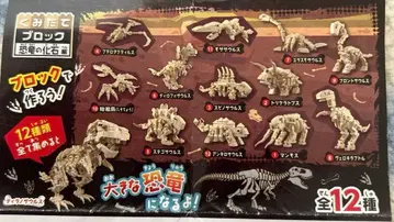 다이소 조립 블록 공룡 화석편 전종