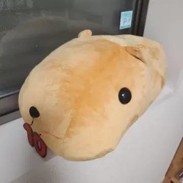 카피바라 씨, 큼직한 봉제 인형 10주년 기념