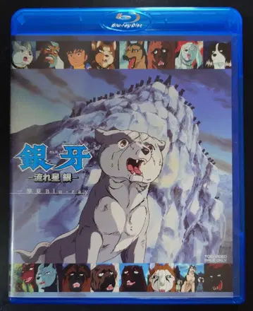 은아 -별똥별 은- 일거수일투족 Blu-ray