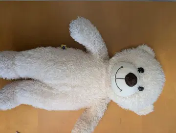 곰 봉제 인형