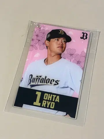 오릭스 버팔로즈 코로코로 챌린지 오타 료 선수