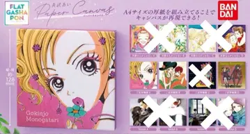 야자와 아이 페이퍼 캠퍼스 동네 이야기 세미 컴플리트 3종