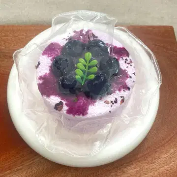 kikisquishy L 사이즈