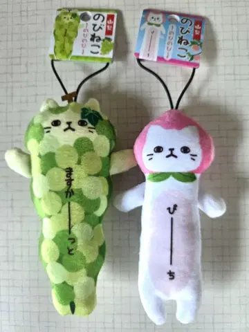 노비네코 야마나시 세트