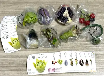 네이처 테크니컬러 MONO 산채 소프트 스트랩 전 8종 컴프 세트