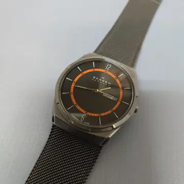 SKAGEN 차콜 스틸 메쉬 데이데이트 워치 SKW6007