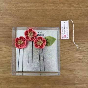 머리 장식 카즈라세이 노포 3개 세트