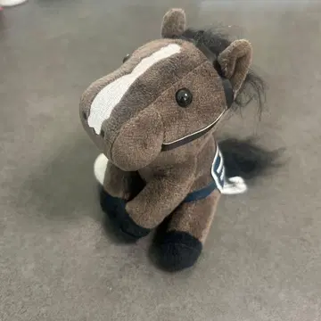 EQUINOX 봉제 인형 2023 DUBAI SHEEMA CLASSIC