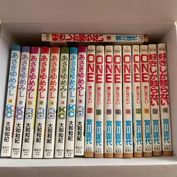 아사키 유메미시 좋아할 수밖에 없는 ONE 미야가와