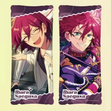 사에구사 이바라 GiGO 앙스타 빅 쿠션 앙상블 스타즈