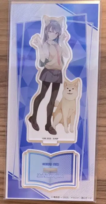 청춘 돼지 녀석 라이트 노벨전 아크릴 스탠드 사쿠라지마 마이