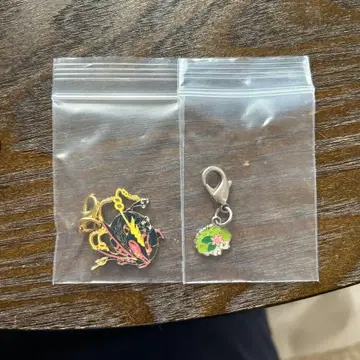 포켓몬 메가레쿠자 이로치 시라미 참