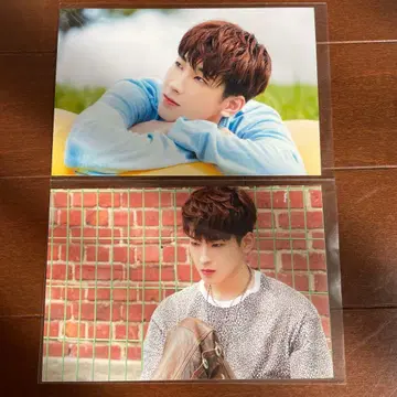 seventeen 원우 컨셉존 포토 카드