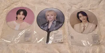 SEVENTEEN 정한 IMAGE PICKET 세트