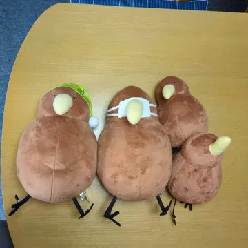 느긋한 키위 봉제 인형 4개 세트