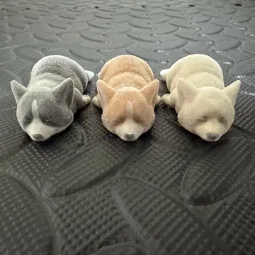 복슬복슬 코기 플로키 플러피 3종 세트