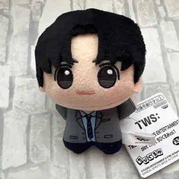 TWS plot twist SD 인형 vol.1 한진