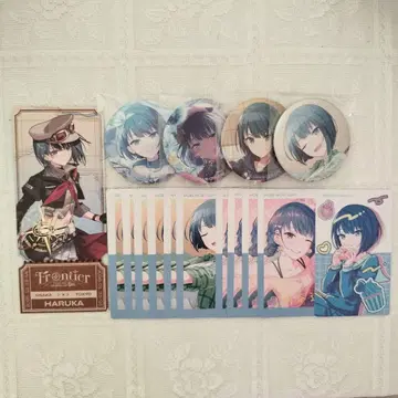 프로세카 키리타니 하루카 묶음 판매