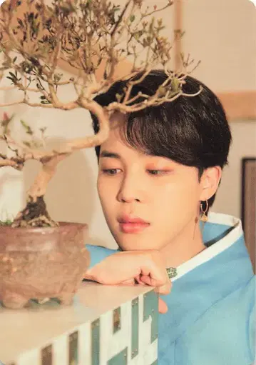 BTS 달마중 지민 미니 포토카드 34/56