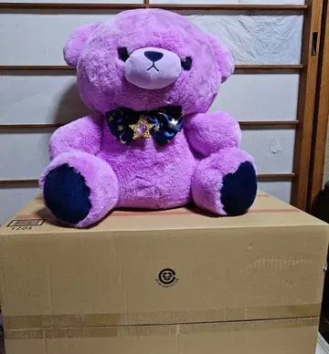 별의 곰 궁수자리 곰 BIG 봉제 인형