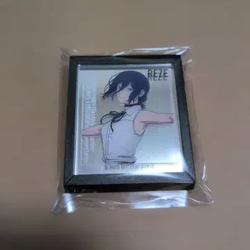 체인소 맨 트레이딩 프레임 마그넷 거울 레제