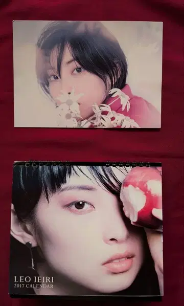 이에이리 레오 엽서 2017년 탁상 달력