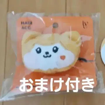 아이브 미니브 미니니 팝업 리즈 치즈 머리끈 덤 포함