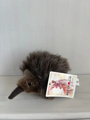 호주 가시두더지 봉제 인형