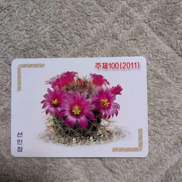 조선로동당 주체100년 기념 달력