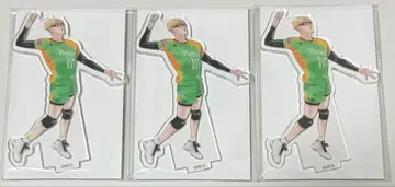 하이큐 10주년 크로니클 미니 아크릴 스탠드 츠키시마 케이 3개