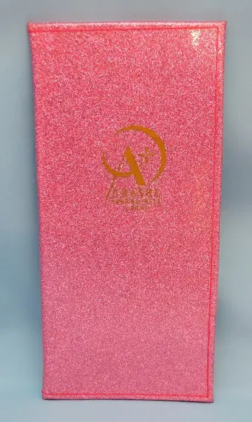 아라시 07년 AROUND ASIA in DOME 여권 케이스