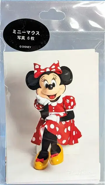 도쿄 디즈니 리조트 미니 마우스 사진 6장