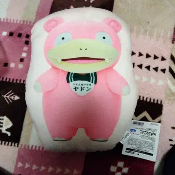 포켓몬 로컬Acts 물산전 오리지널 미니 쿠션 야돈