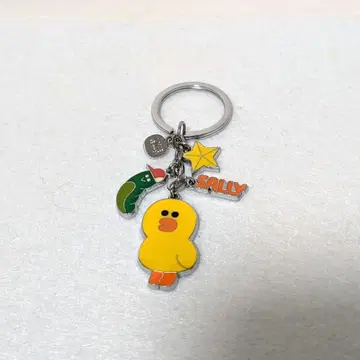 라인프렌즈 샐리 키링 공식