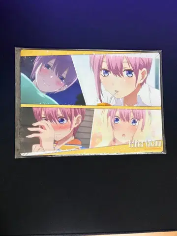 5등분의 신부 나카노 이치카 굿즈 모음