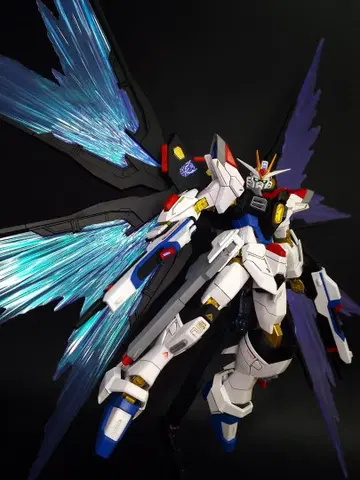HG 스트라이크 프리덤 건담 이식 & 빛의 날개 이펙트 세트