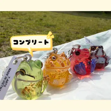 만마루 개구리 클리어 메지루시 가챠 마스코트 4종 컴플리트 세트 컴프