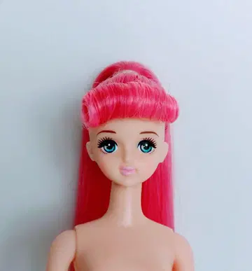 제니 프렌드 타마키 리카짱 캐슬 즐거운 인형