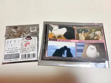 기븐 바다로 AJ 애니메 재팬 보풀