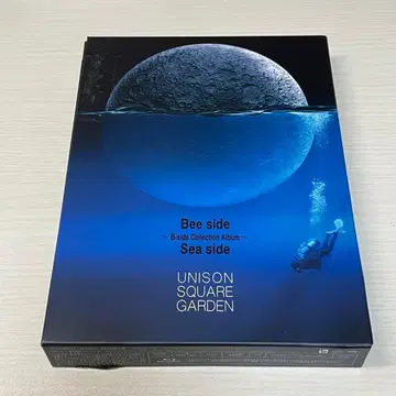 UNISON SQUARE GARDEN Bee side Sea side