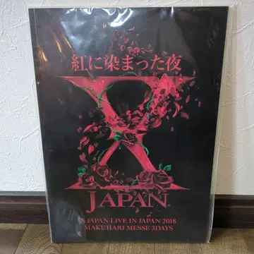 XJAPAN 붉게 물든 밤 엑스재팬 팜플렛 굿즈 라이브