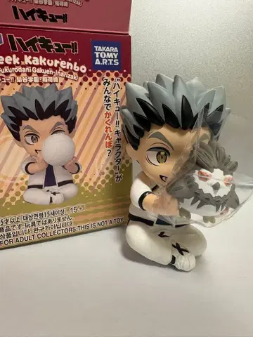 하이큐!! 숨바꼭질 피규어 보쿠토 코타로 시크릿