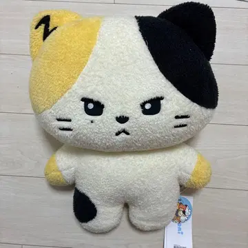 ZEROBASEON zeroni 리니니 플랫 봉제 인형