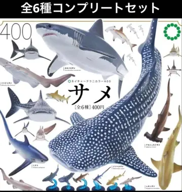 네이처 테크니컬러 400 상어 전 6종 세트