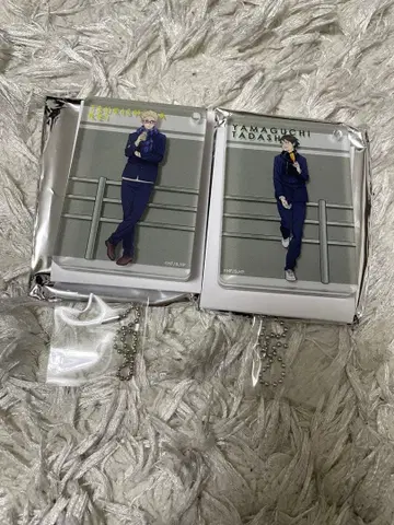 하이큐!! 하후하후 랜덤 입체 마그넷 키링 야마구치 타다시 츠키시마 케이