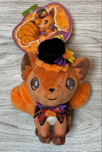 (한정품) 포켓몬 센터 로콘 할로윈 마스코트