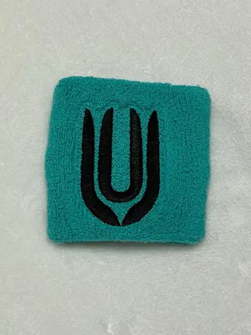 UNISON SQUARE GARDEN Dr.Izzy 리스트 밴드