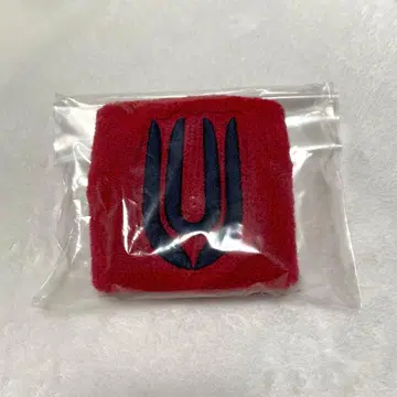 UNISON SQUARE GARDEN 리스트 밴드 NP next