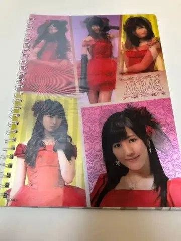 AKB48 3D 노트북