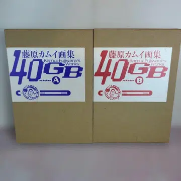 40GB : 후지와라 카무이 화집 side AB